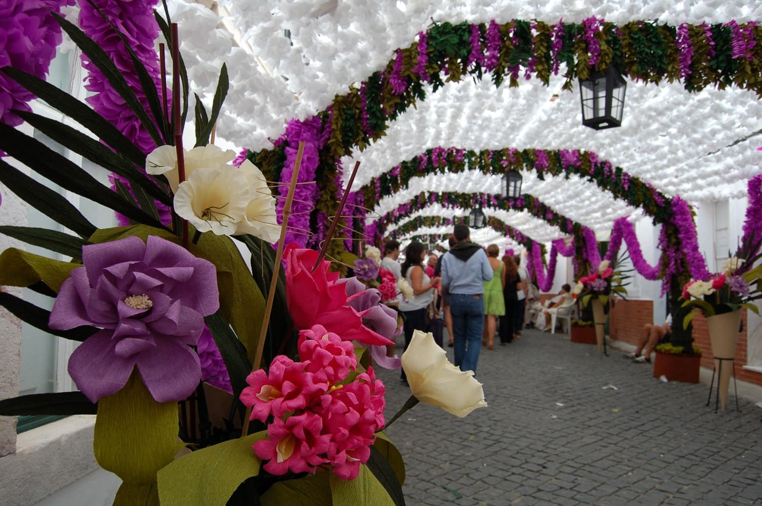 Festa Do Povo